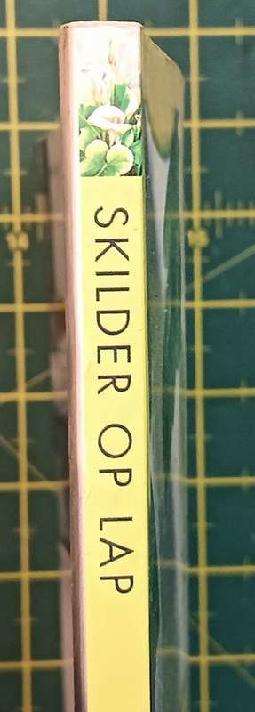 Skilder op Lap - Tharina Odendaal en Anika Pretorius - Softcover
