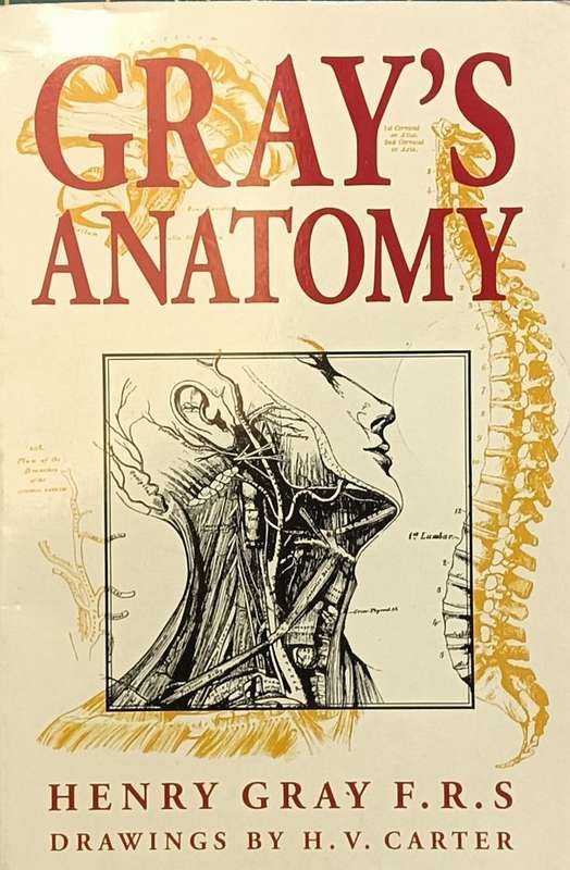 Gray's Anatomy - Henry Gray F.R.S. - Softcover - 768 pages