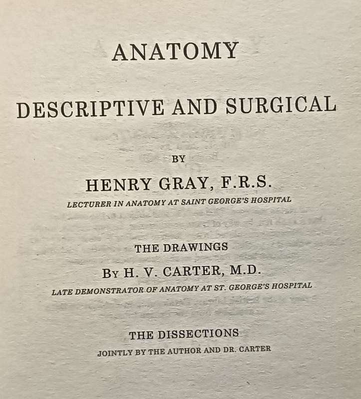 Gray's Anatomy - Henry Gray F.R.S. - Softcover - 768 pages