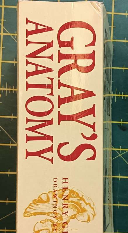 Gray's Anatomy - Henry Gray F.R.S. - Softcover - 768 pages