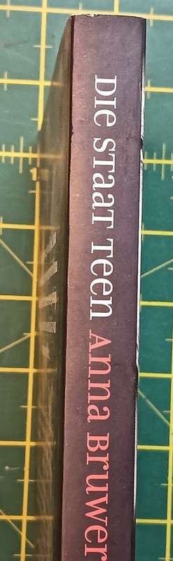Die Staat Teen Anna Bruwer - Anchien Troskie as Elbie Lotter - Softcover - 218 pages