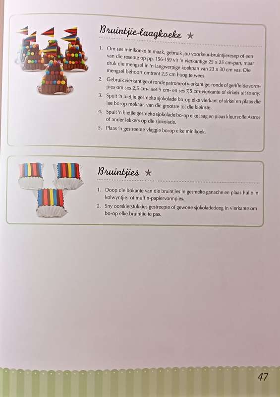 Katrien se Mini Koeke - Katrien van Zyl - Softcover - 159 pages