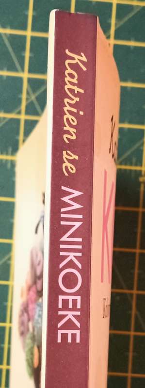Katrien se Mini Koeke - Katrien van Zyl - Softcover - 159 pages