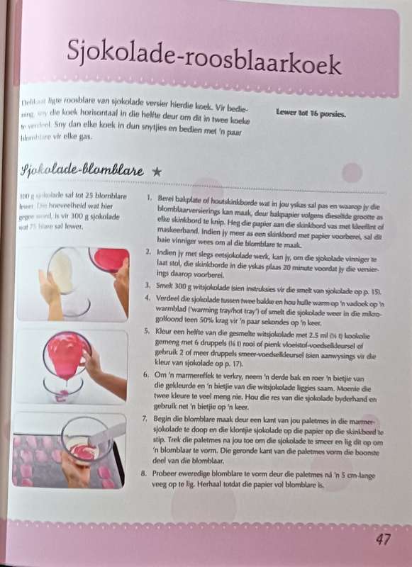 Katrien se Koeke - Katrien van Zyl - Softcover - 159 pages
