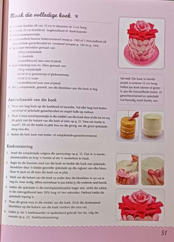 Katrien se Koeke - Katrien van Zyl - Softcover - 159 pages
