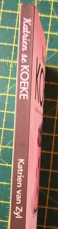 Katrien se Koeke - Katrien van Zyl - Softcover - 159 pages