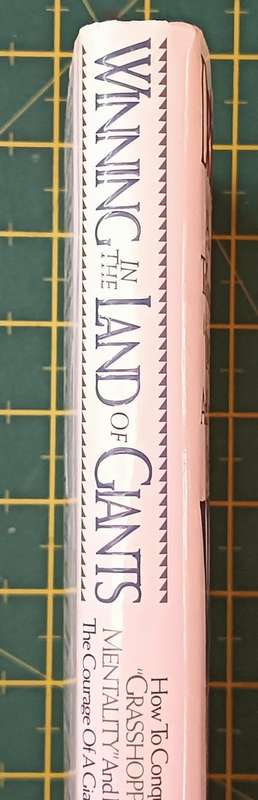 Winning in the Land of Giants - Dr. William Mitchell - Hardcover - 238 pages