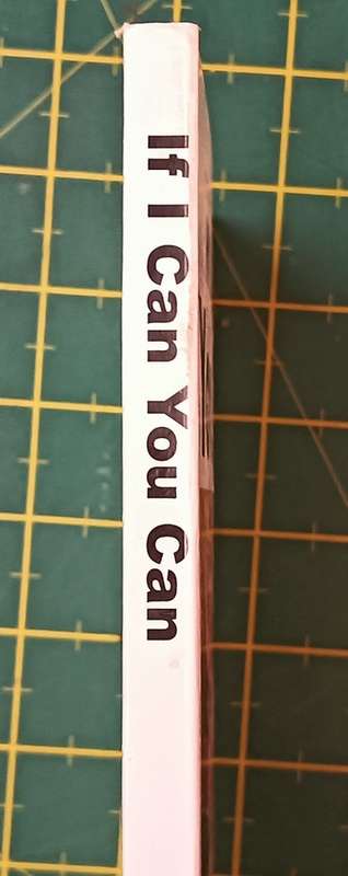 If I Can, You Can - Sally Eichenhorst - Softcover - 155 pages