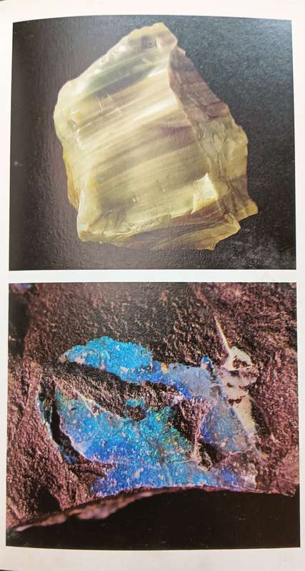The MacDonald Encyclopedia of Precious Stones - Curzio Cipriani - Softcover - 384 pages