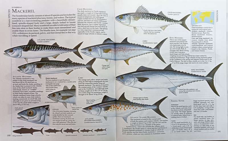 The Encyclopedia of Fishing - Ian Wood Editor - Hardcover - 288 pages