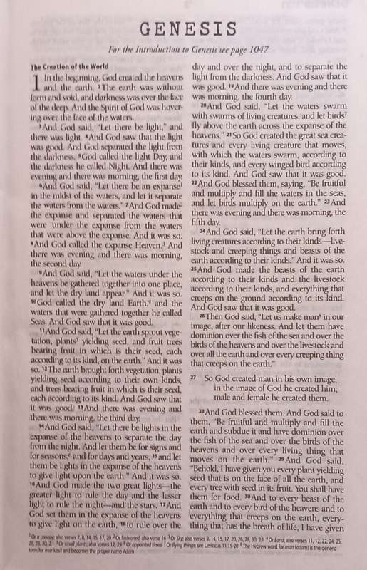 Truth - The Bible New English Version - Softcover - 1074 pages