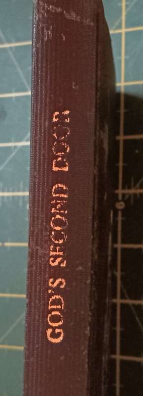 God's Second Door - J.H. Roesler - Hardcover - 94 pages
