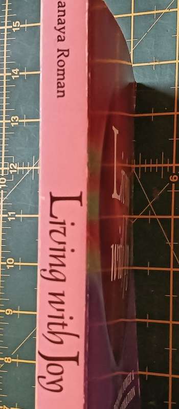 Living with Joy - Sanaya Roman - Softcover - 195 pages