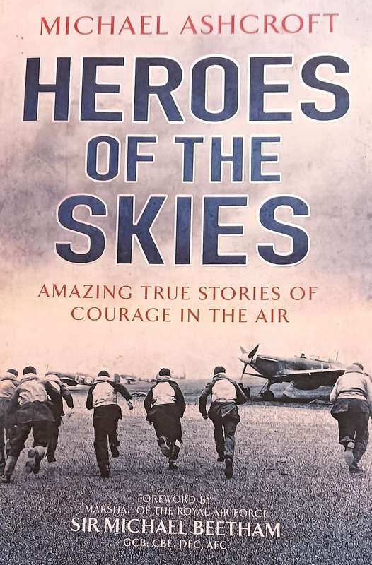 Heroes of the Skies - Michael Ashcroft - Softcover - 441 pages