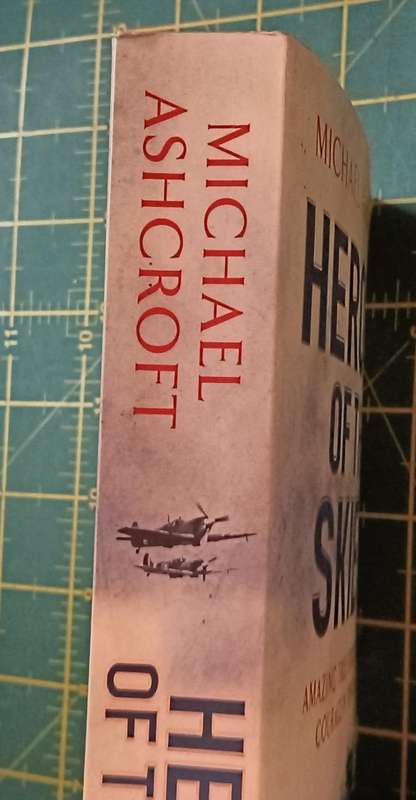 Heroes of the Skies - Michael Ashcroft - Softcover - 441 pages