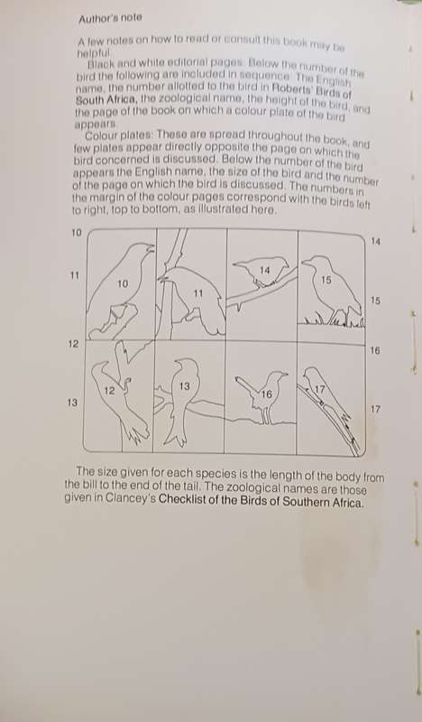 Garden Birds of Souther Africa - Peter Ginn & Geoff - Hardcover - 52 pages