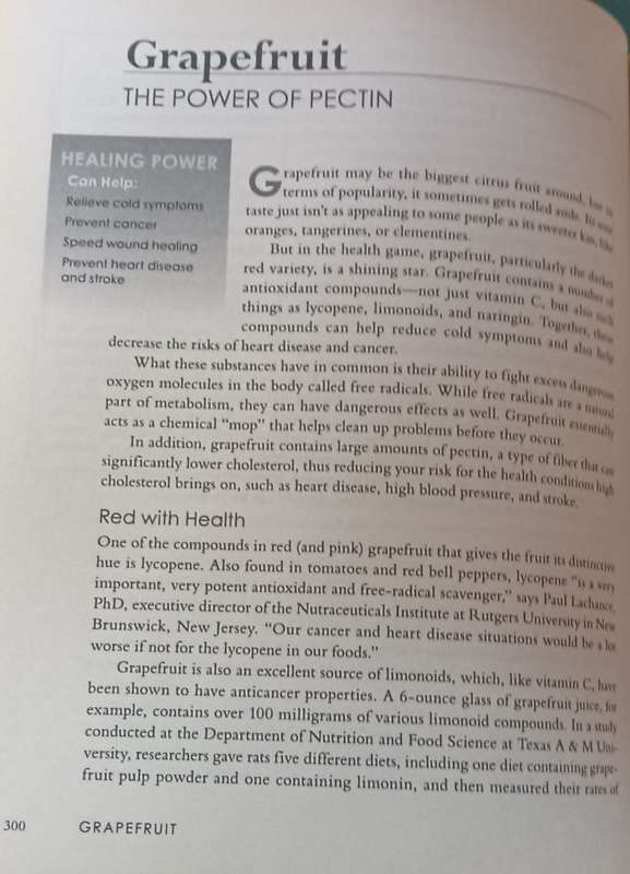 The Doctors Book of Food Remedies - 100s of Tips - Selene Yeager - Hardcover - 707 pages