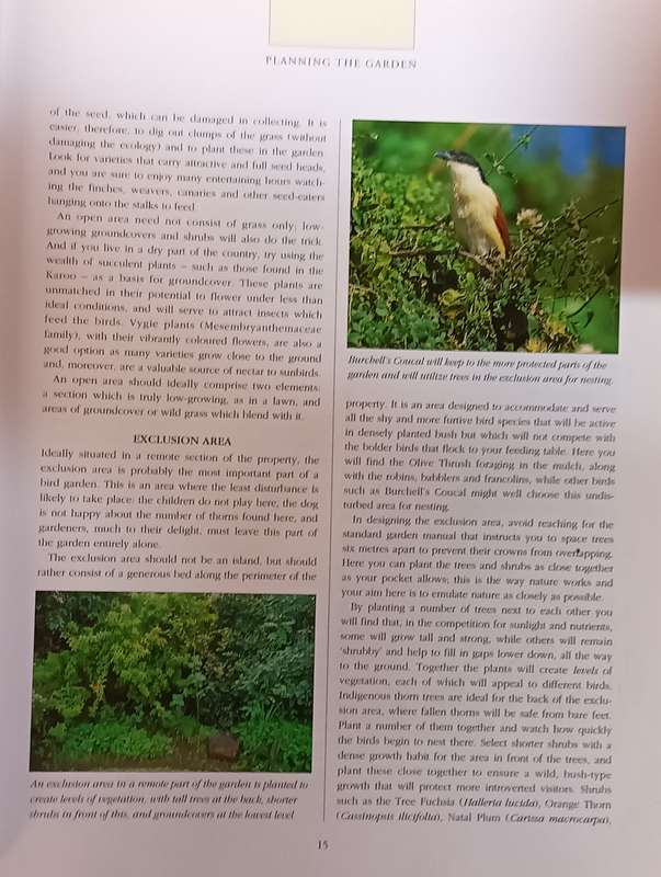 Attracting Birds to Your Garden in Southern Africa - Roy Trendler & Lex Hes - Softcover - 208 pages