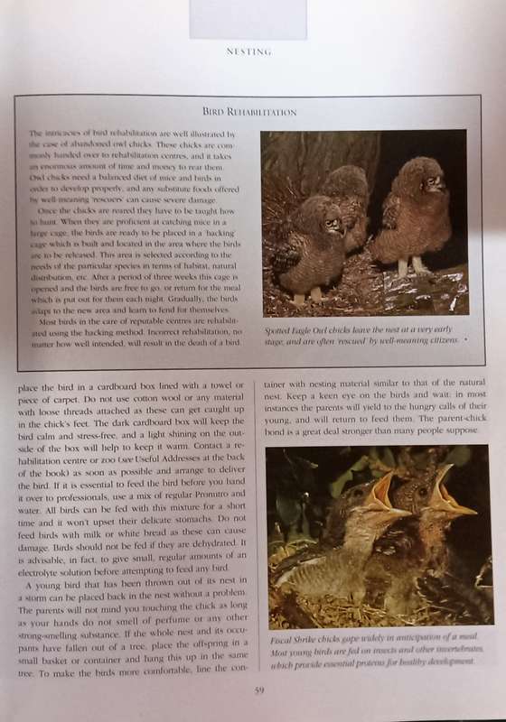 Attracting Birds to Your Garden in Southern Africa - Roy Trendler & Lex Hes - Softcover - 208 pages