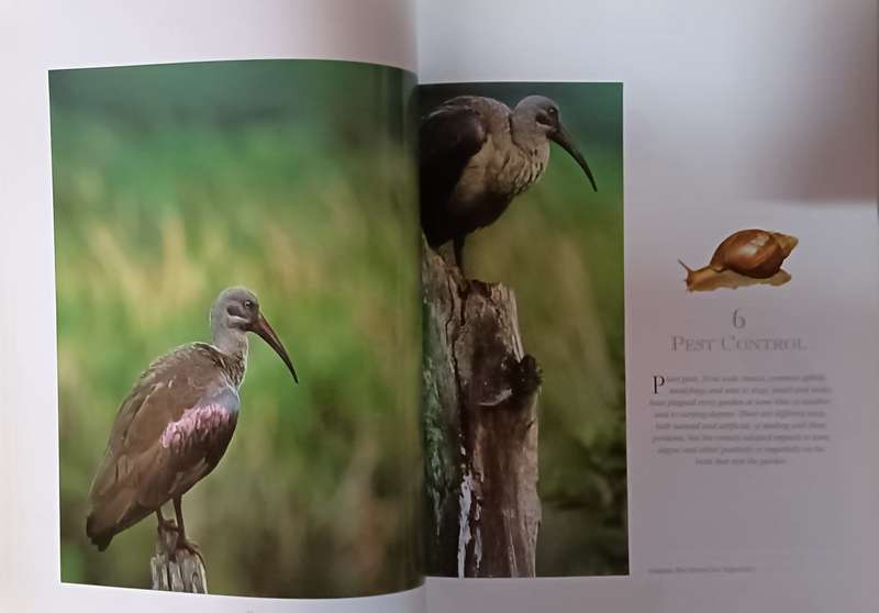 Attracting Birds to Your Garden in Southern Africa - Roy Trendler & Lex Hes - Softcover - 208 pages