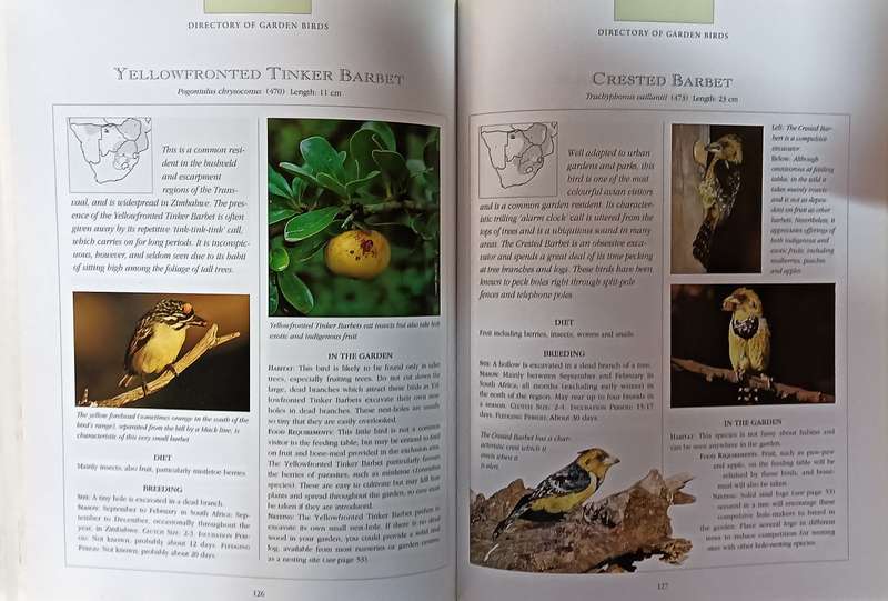 Attracting Birds to Your Garden in Southern Africa - Roy Trendler & Lex Hes - Softcover - 208 pages