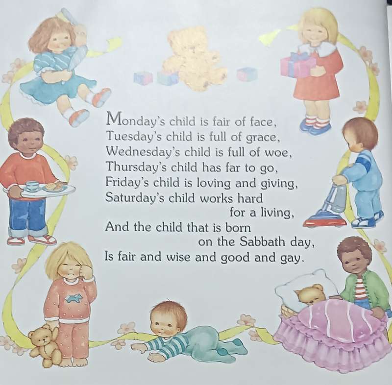 The Ladybird Baby Record Book