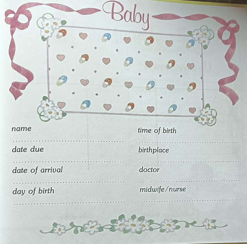 The Ladybird Baby Record Book
