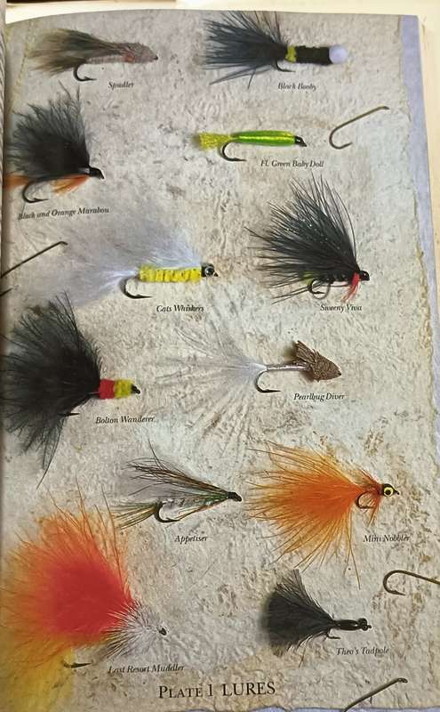 Collins Illustrated Dictionary of Trout Flies - John Roberts - Hardcover - 240 pages