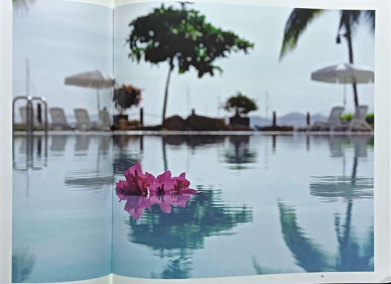 Pure Sense - A Meditative Journey in Sound and Vision - Hardcover - 108 pages & 4 CD's