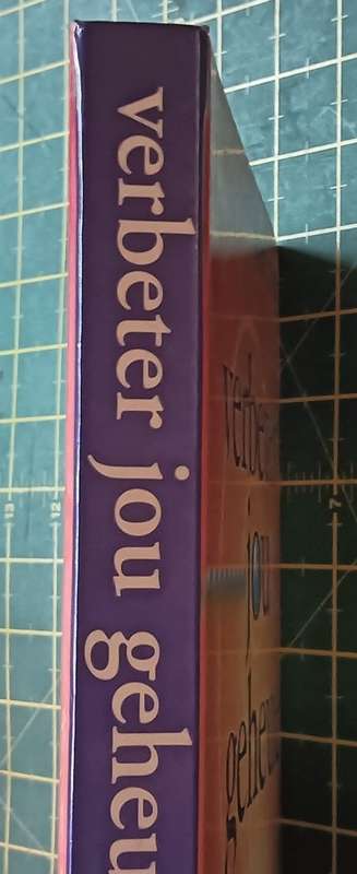 Verbeter Jou Geheue - Robert Allen - Hardcover - 160 pages