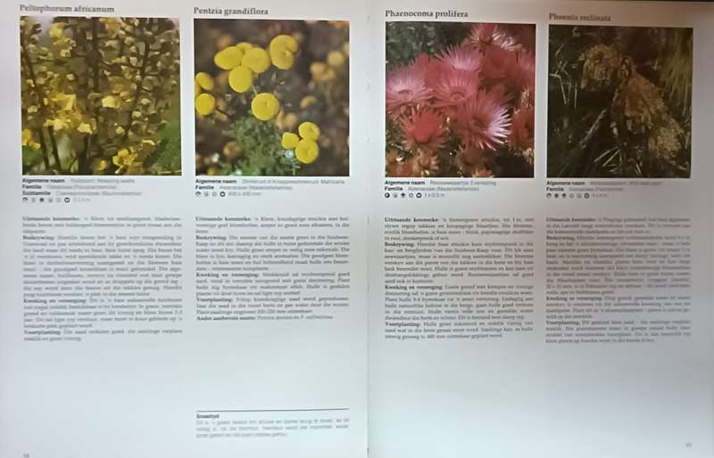 Plant Inheems - Suid-Afrikaanse plante vir die Huistuinier - Krist Pienaar- Hardcover - 128 pages