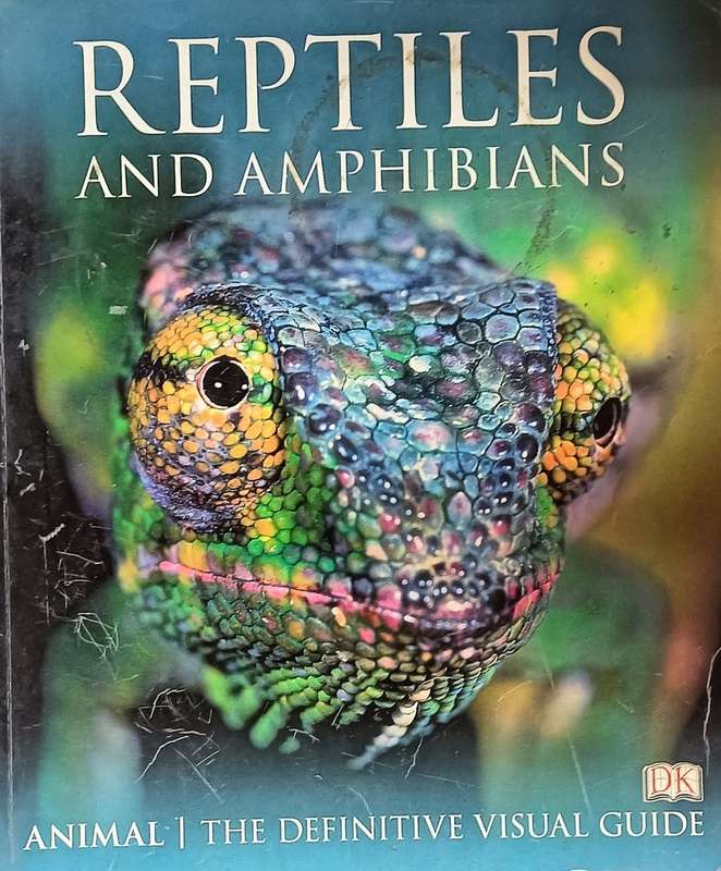 Reptiles and Amphibians - A DK Visual Guide - Softcover