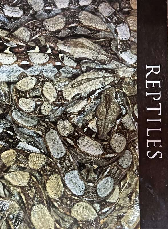 Reptiles and Amphibians - A DK Visual Guide - Softcover