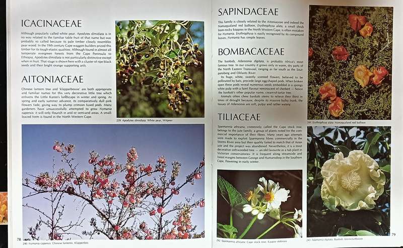 Wildflowers of South Africa - Hardcover - 128 Pages