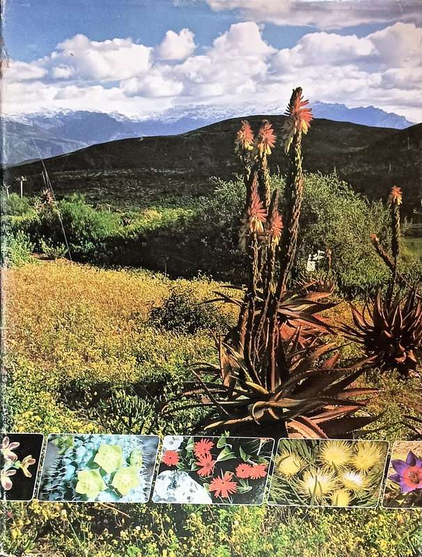 Wildflowers of South Africa - Hardcover - 128 Pages