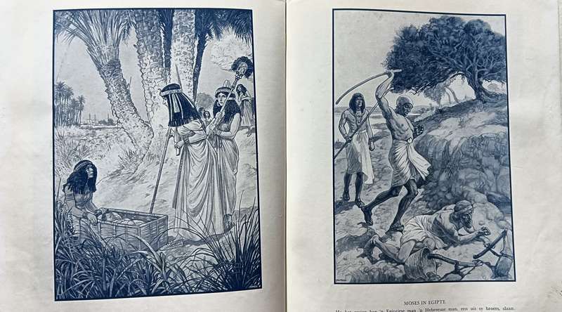 Die Afrikaanse Jeugbybel - Ds S.P. Malan. - Hardcover - 368 pages