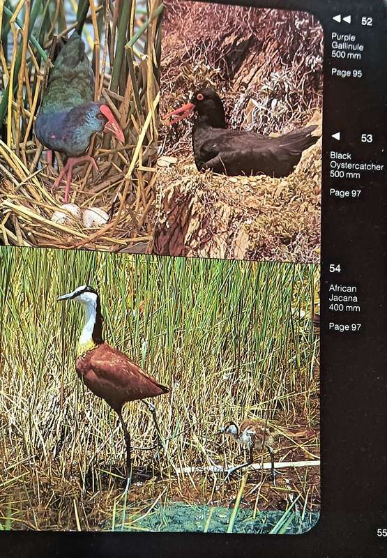 Waterbirds of Southern Africa - Peter Ginn & Geoff McIlleron - Hardcover - 143 pages