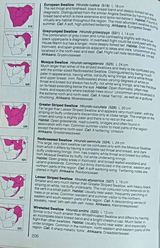 Field Guide to the Birds of Southern Africa - Ian Sinclair - Softcover - 368 pages