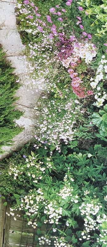 Garden Planning, Design & Decoration - Peter McHoy & Tessa Evelegh - Hardcover - 512 pages