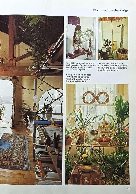 The Houseplant Book - Cynthia Wickman - Hardcover - 256 pages