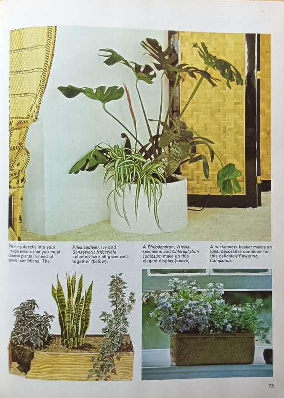 The Houseplant Book - Cynthia Wickman - Hardcover - 256 pages