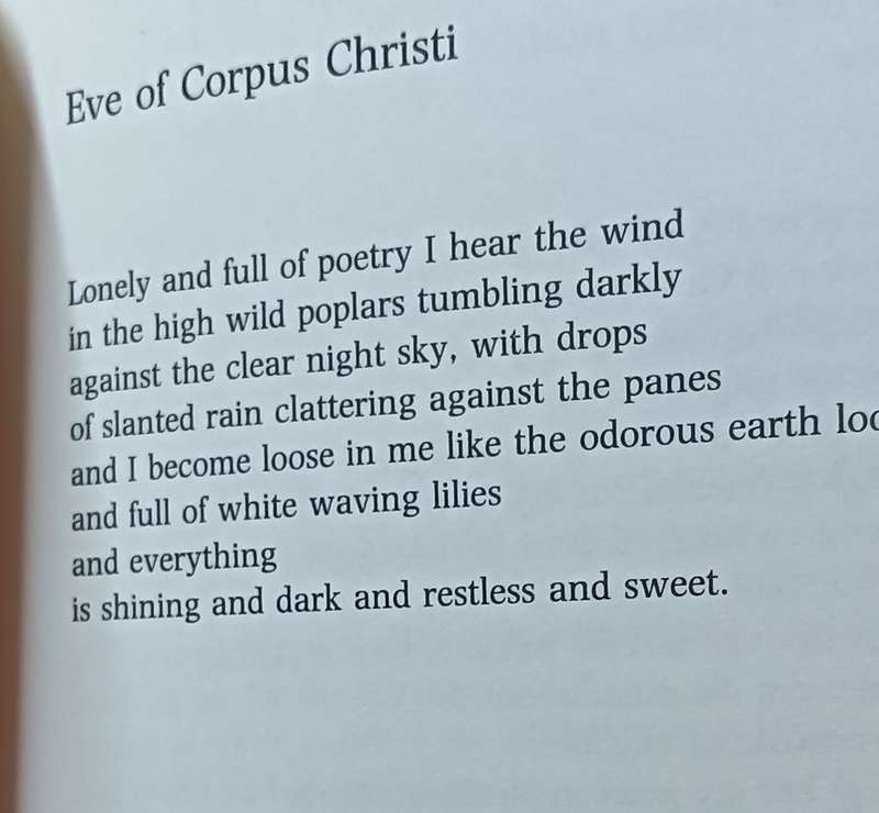 Poems - Sheila Coussons - Softcover - 168 pages