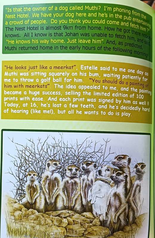 A Load Of Bull - Anecdotes And Artwork From The Champagne Valley - Steve Bull- Softcover - 50 pages
