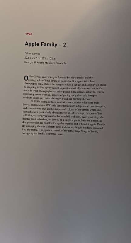 Georgia O'Keeffe - An American Perspective - Lauris Morgan-Griffiths - Hardcover - 175 pages
