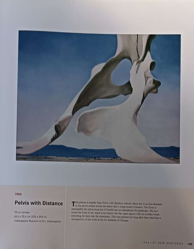 Georgia O'Keeffe - An American Perspective - Lauris Morgan-Griffiths - Hardcover - 175 pages