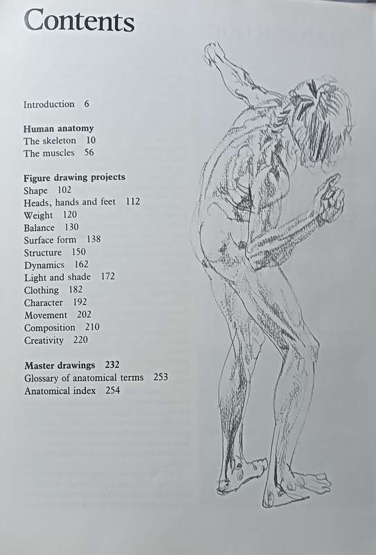 Figure Drawing And Anatomy For The Artist - John Raynes - Softcover - 256 pages