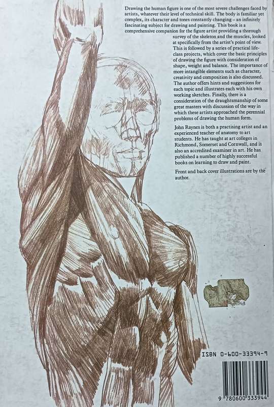 Figure Drawing And Anatomy For The Artist - John Raynes - Softcover - 256 pages
