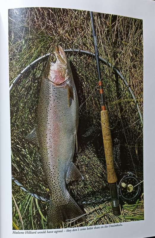 The Trout and the Kingfisher - Malcolm Meintjies - Hardcover - 155 pages