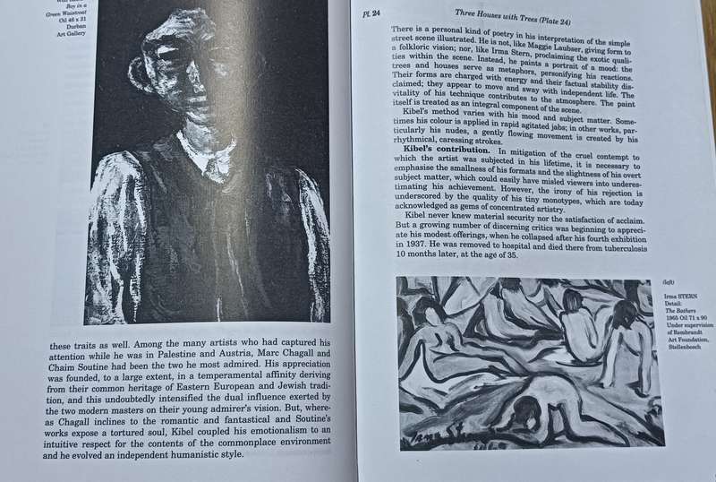Painting in South Africa - Esme Berman - Hardcover - 395 pages & 99 Colour Plates