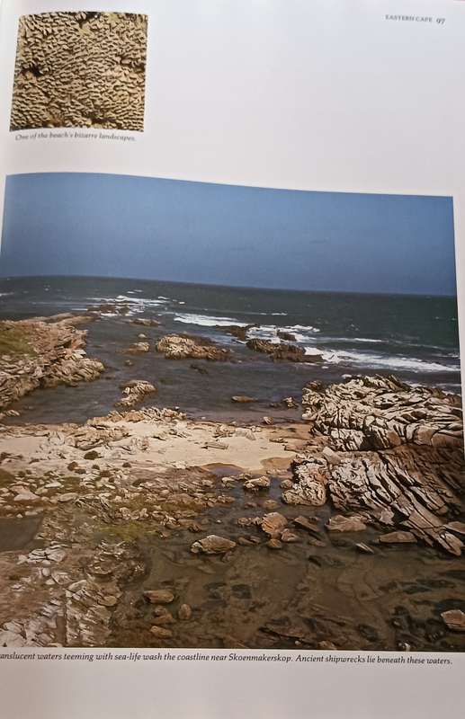 South Africa Magnificent Land - Readers Digest - Hardcover - 256 pages